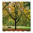 thumbnail image 3 of Ambesonne Fall Shower Curtain, Autumn Park Leaves Nature, 69"Wx84"L, Green Yellow, 3 of 5
