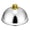 Gold, variant on deevoka 10inch Pot Lid Food Cover Sturdy Woks Lid Practical Lightweight Skillets Lid for