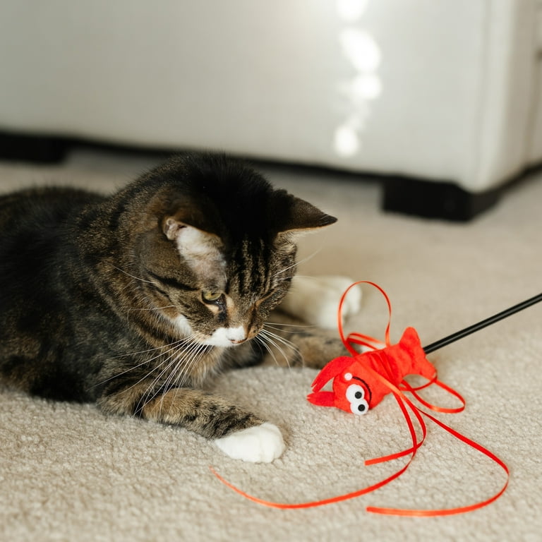 Vibrant Life Wiggle Lobster Wand Teaser Cat Toy with Catnip, 18