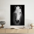 thumbnail image 6 of Contemporary Wall Art, Horse Photo Art, White Horse Canvas, White Horse Photo Print, Modern Poster, Horse Lover Gift Art, Canvas Wall Decor - Black Framed, 6 of 6