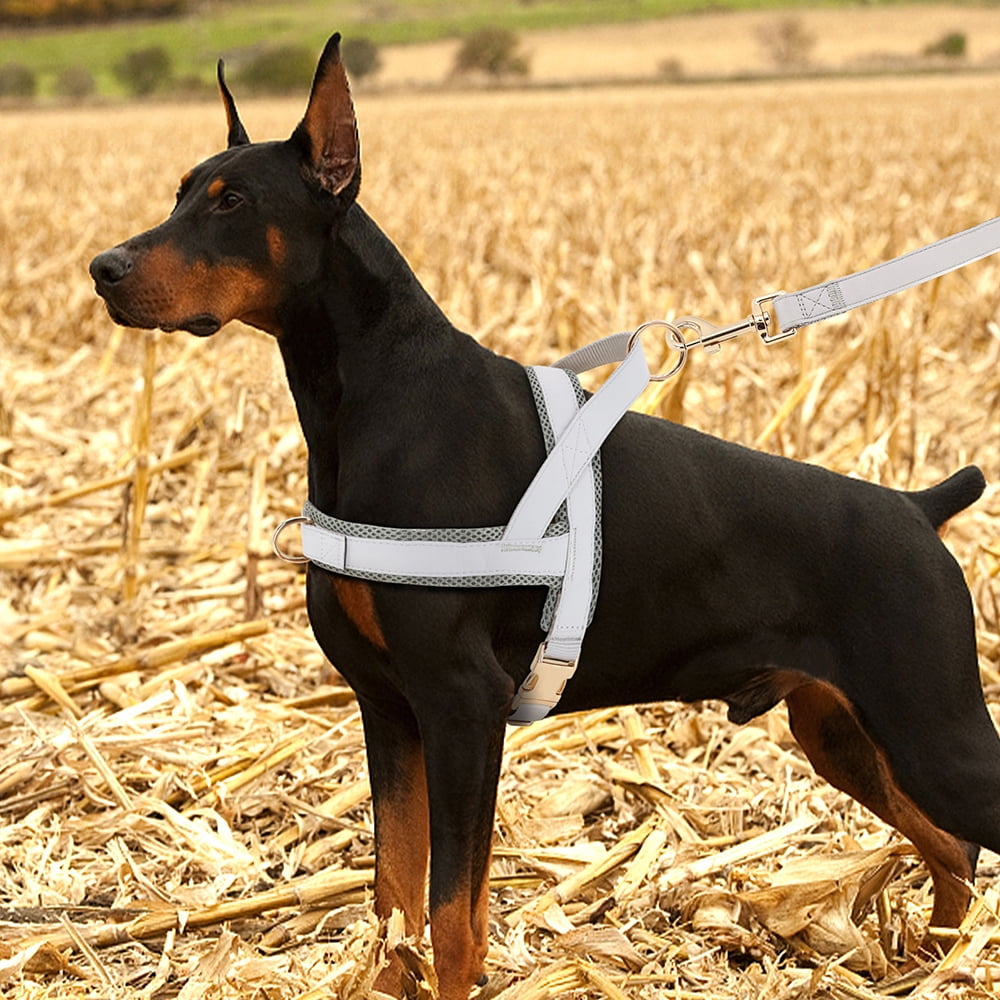 Pet Artist No-Pull Pet Harness and Leash Set, Breathable Mesh & Padded Vest, Front Clip, Adjustable PU Leather with Metal Buckle for Small to Large Dogs
