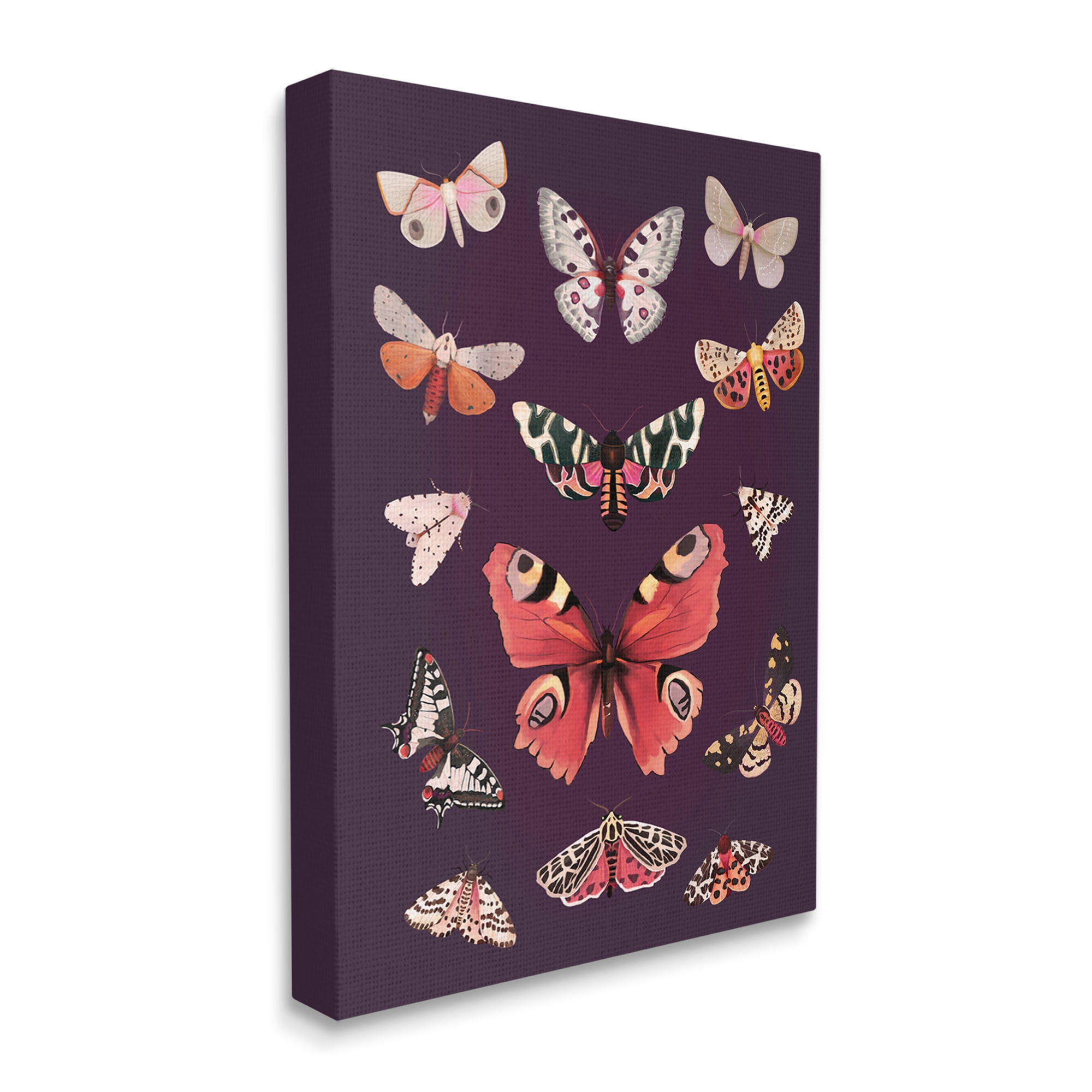 Stupell Industries Vintage Wildlife Moths Animals & Insects Painting Gallery Wrapped Canvas Print Wall Art, 24 x 30