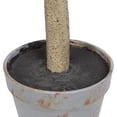 thumbnail image 4 of Pemberly Row Contemporary 8' Artificial Green Olive Tree in Pot, 4 of 9