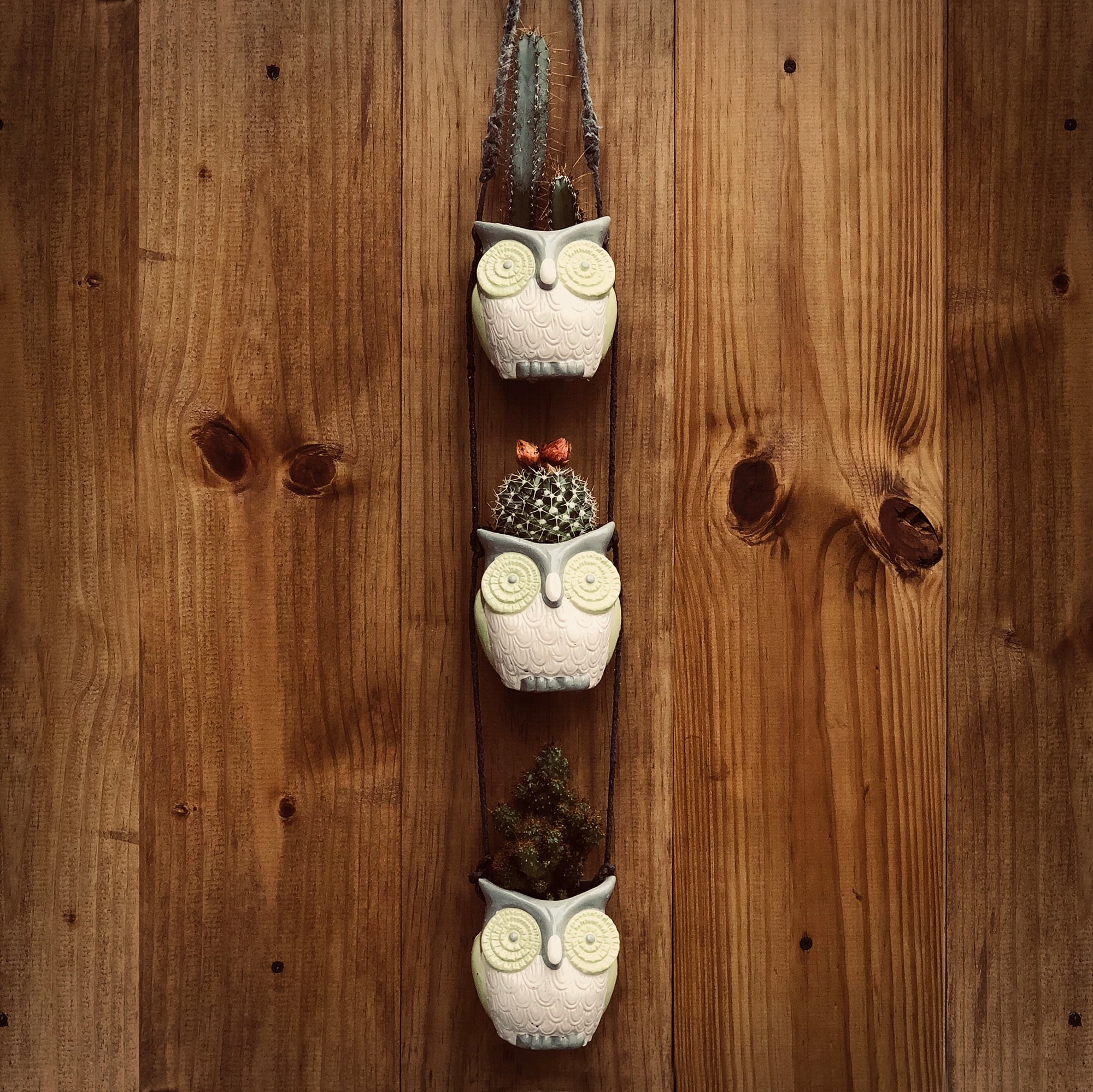 Woodland Jungle Owls. Cool Hanging Succulent Planters for Plants, Flowers & Cactus. Vintage Owl Decor.