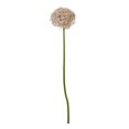 thumbnail image 1 of Hill Interiors Allium Stem Artificial Plant, 1 of 4