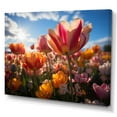 thumbnail image 2 of Designart "Denmark Multicolor Tulip landscapes III" Floral Wall Art Living Room, 2 of 5