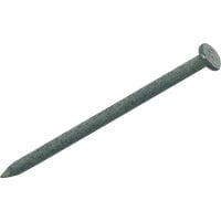 1PC Grip-Rite Hot Galvanized Common Nail
