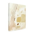 thumbnail image 2 of Victoria Barnes 'Markings In Beige I' Canvas Art, 2 of 3