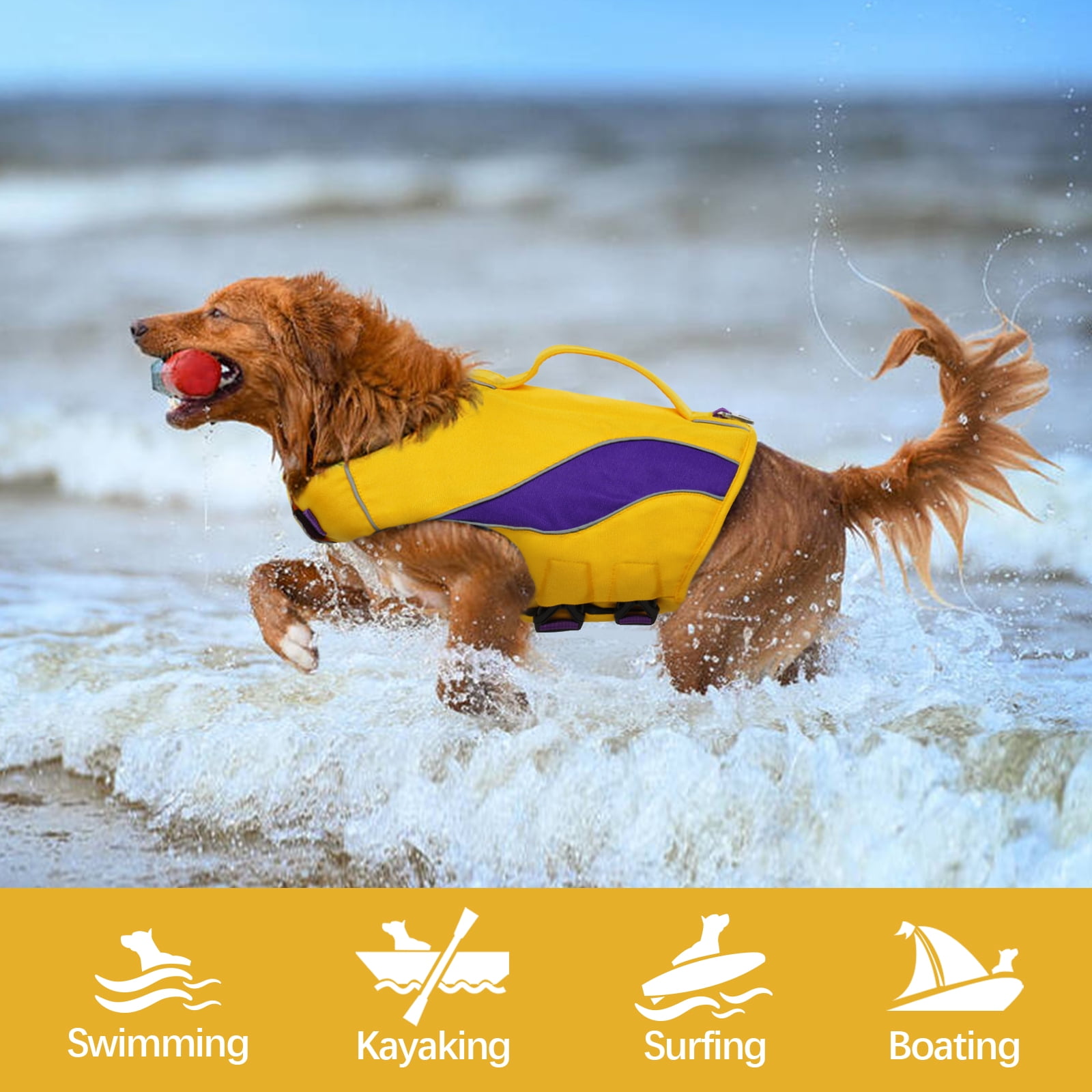 Does Petsmart Sell Dog Life Jackets