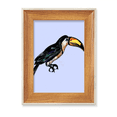 thumbnail image 1 of Painting Toco Tropical Bird Desktop Wooden Photo Frame Display Picture Art Painting Multiple Sets, 1 of 3