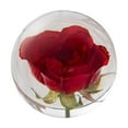 thumbnail image 1 of Wartleves Bola de cristal con flor preservada, flor en espécimen de resina de lucita transparente, esfera transparente para sala de estar súper decorativa, 1 of 7