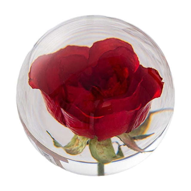 Wartleves Bola de cristal con flor preservada, flor en espécimen de resina de lucita transparente, esfera transparente para sala de estar súper decorativa