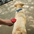 thumbnail image 6 of Nite Ize RadDog Retractable Pocket Leash - Red - Large, 6 of 8