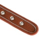 thumbnail image 5 of Collar ajustable para perros, collar ajustable para perros, collar transpirable y transpirable, collar para perros medianos y grandes, experiencia incomparable, 5 of 8
