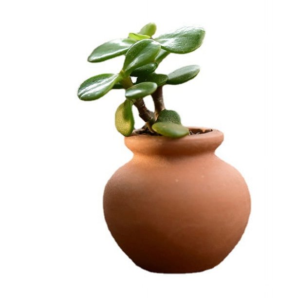 Maceta de cerámica con inserto de hoja carnosa para plántulas de bolsillo Super Mini, maceta redonda para flores carnosas