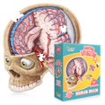 thumbnail image 1 of Rompecabezas de piso del cerebro humano - Modelo de anatomía del Doctor Livingston Jr - Rompecabezas de 100 piezas - Rompecabezas para niños y juego STEM sobre el cerebro - Juguetes científicos médica, 1 of 1