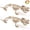 2PCS Alligator Skeleton, variant on Joyfy 2 Pcs Fish Skeleton Halloween Decoration,9.5 Inch Posable Plastic Animals Halloween Skeleton for Indoor Outdoor Halloween Decorations,Haunted House Party Props