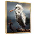 thumbnail image 2 of Designart "Sunrise Portrait Grey Pelican s Morning Watch II" Animals Floater Framed Wall Art Living Room, 2 of 7