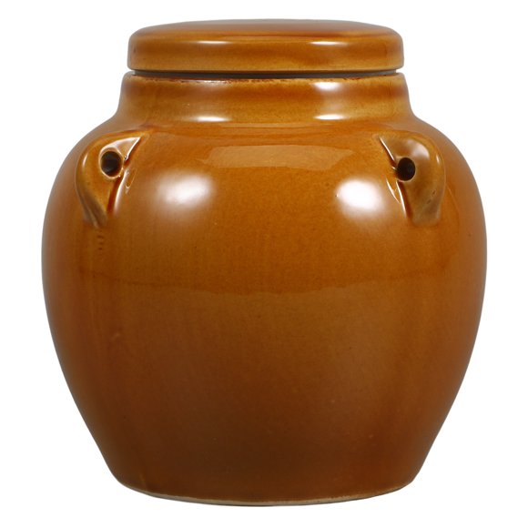 EeaseMX 1 tarro de cerámica para encurtidos, tarro de porcelana para miel, recipiente para almacenar alimentos secos, utensilio de cocina