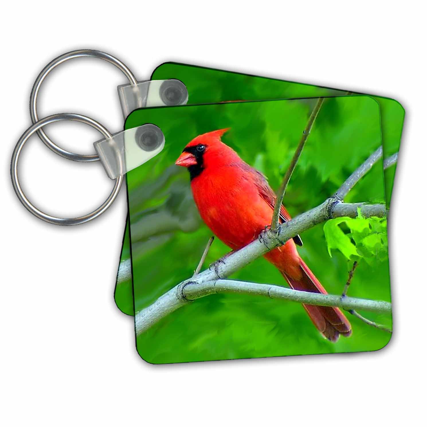 cardinal chains walkthrough level 99 cardinal chains walkthrough level 99