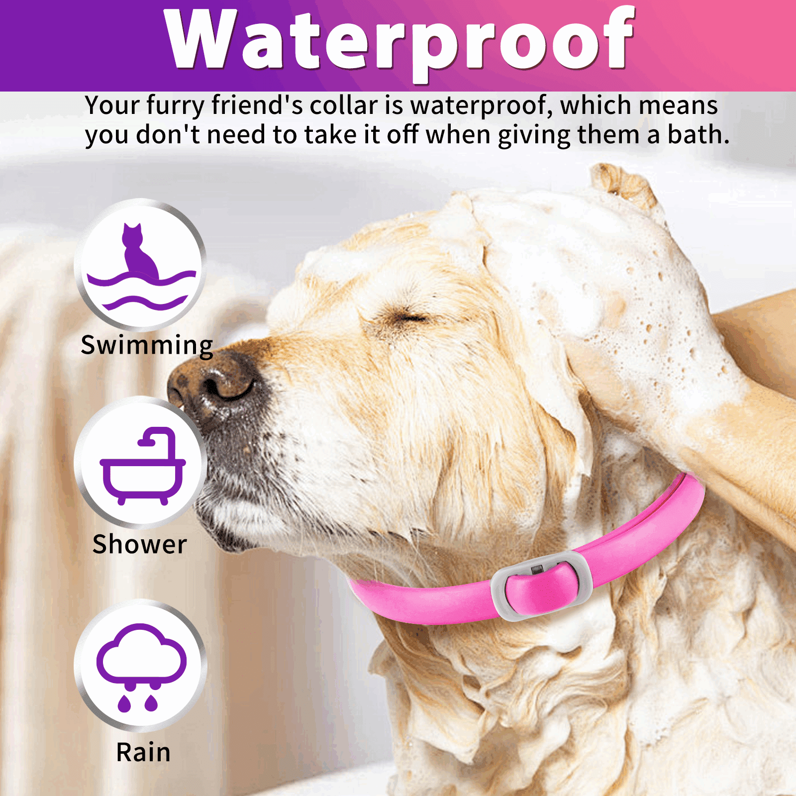 Oimmal Collar for Dog and Puppy, 24 Months Protection, 19inch Adjustable, Waterproof, Natural Ingredients, 4 Collars - Pink & Purple