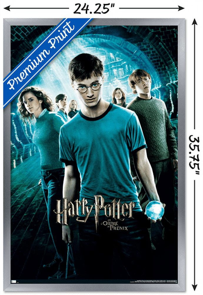 Harry Potter and the Order of the Phoenix - One Sheet (French Version) Wall Poster, 22.375" x 34", Framed