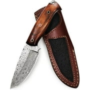 BigCat Roar Bravo Damascus Buck Knife with Sheath - 4.8" Full-Tang Fixed Blade Hunting Knife - Brown EDC Knives for Men