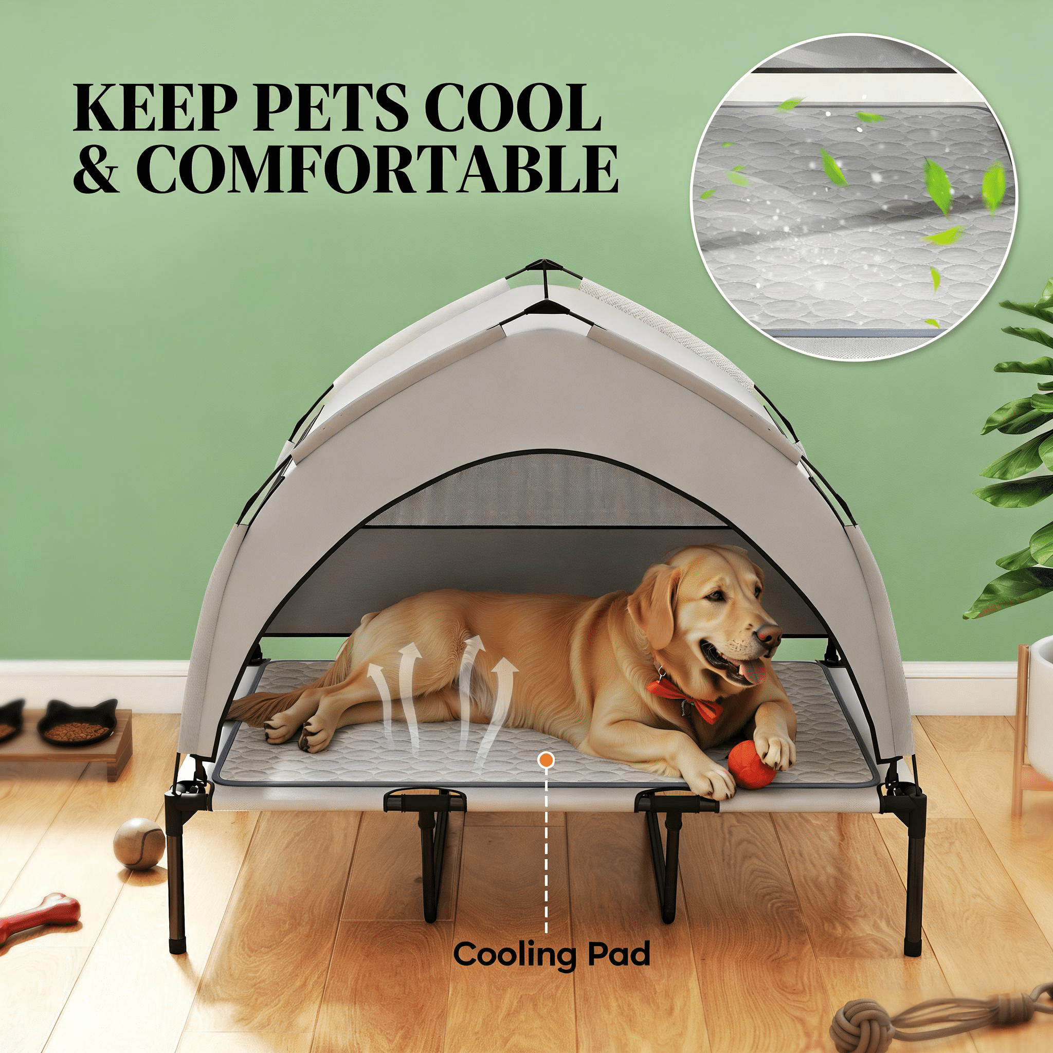 Raised Pet Cot, Elevated Portable Dog Cot