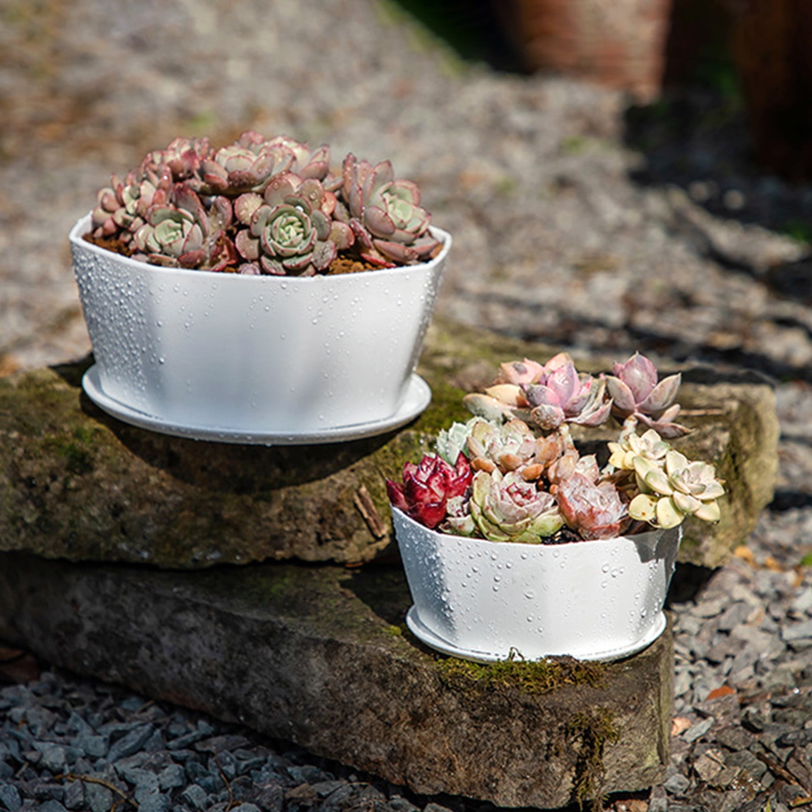 White Plastic Shallow Plant Pot, Octagon Bowl Planter Container with Pot Tray for Succulents, Cactus (White/1 Pcs) 5.91x2.56"