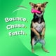 thumbnail image 4 of Hartz DuraPlay Juguete de Látex Chirriante para Perro en Forma de Hueso Paquete de 3 Tamaño Pequeño, 4 of 9