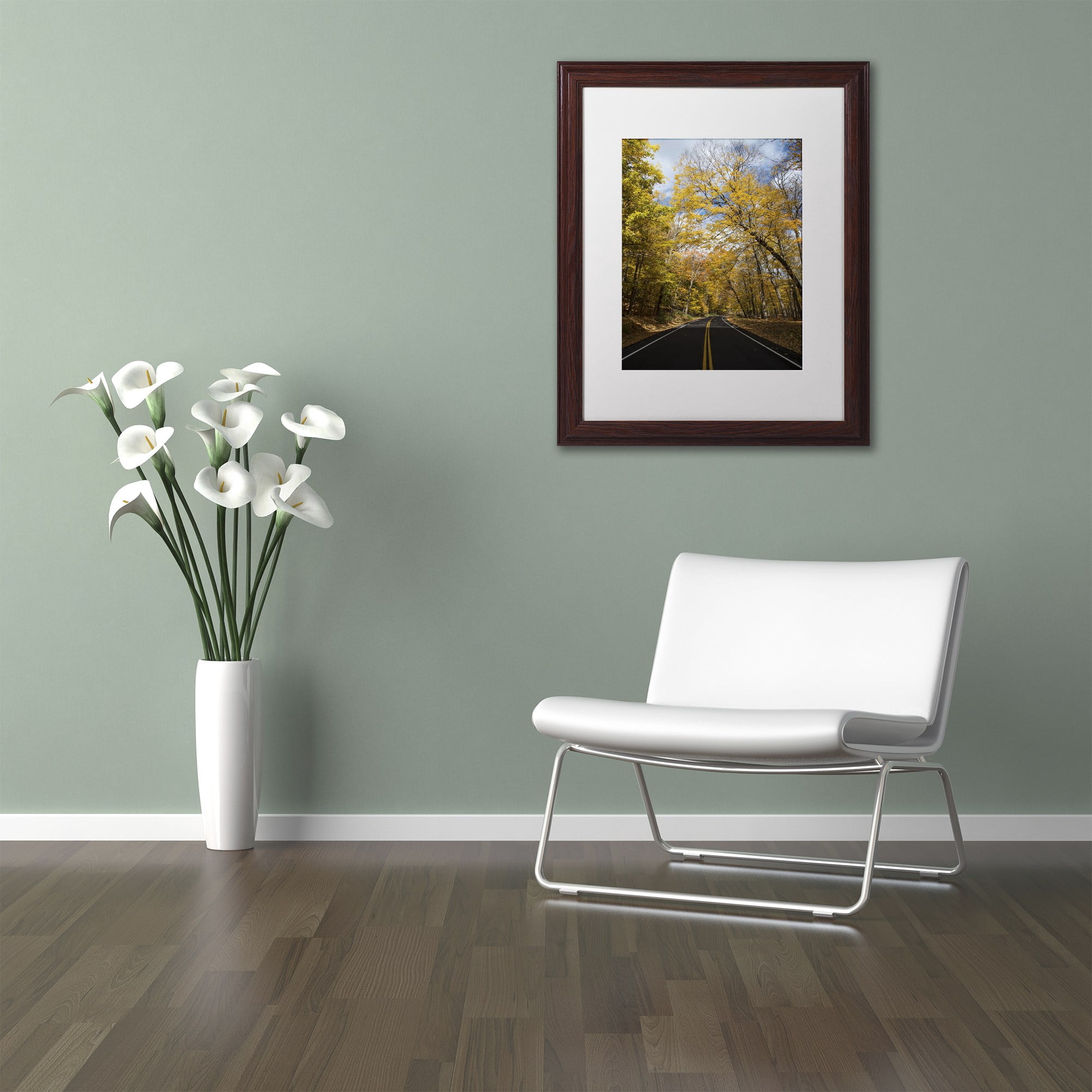 Trademark Fine Art "Autumn Along the Valley Park" Canvas Art by Kurt Shaffer, White Matte, Wood Frame