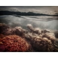 thumbnail image 2 of Stranak, Pavol 18x15 White Modern Wood Framed Museum Art Print Titled - Underwater Evening, 2 of 4