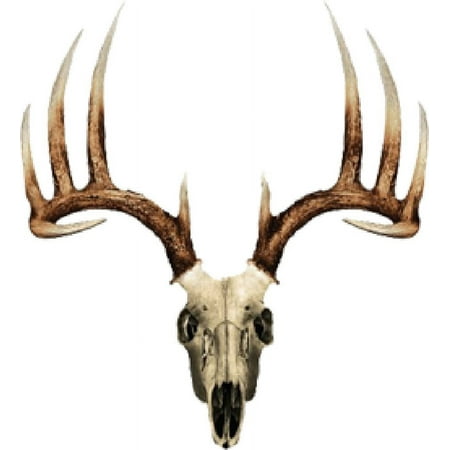 Mossy Oak Graphics 13021-S-T Skull Series Small Whitetail Typical Decal