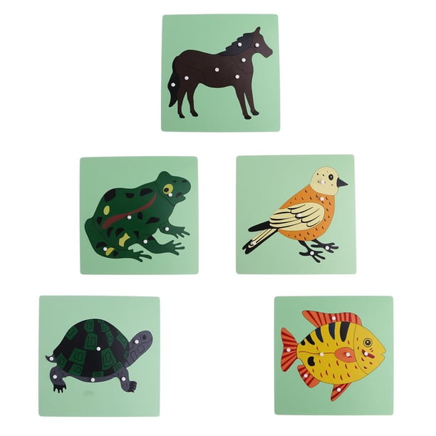 Material de zoología Montessori,Rompecabezas de zoología Montessori,5 puzzles de perillas de madera,5 rompecabezas de animales de madera,5 rompecabezas de esqueletos de animales,Rompecabezas