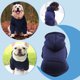 thumbnail image 1 of Sudadera con capucha y bolsillo para perro: suéter cálido para otoño e invierno, ropa para cachorros, perros pequeños y medianos, artículos esenciales para mascotas., 1 of 7