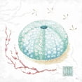 thumbnail image 3 of Brissonnet, Daphne 12x12 Black Modern Framed Museum Art Print Titled - Delicate Sea VII, 3 of 5