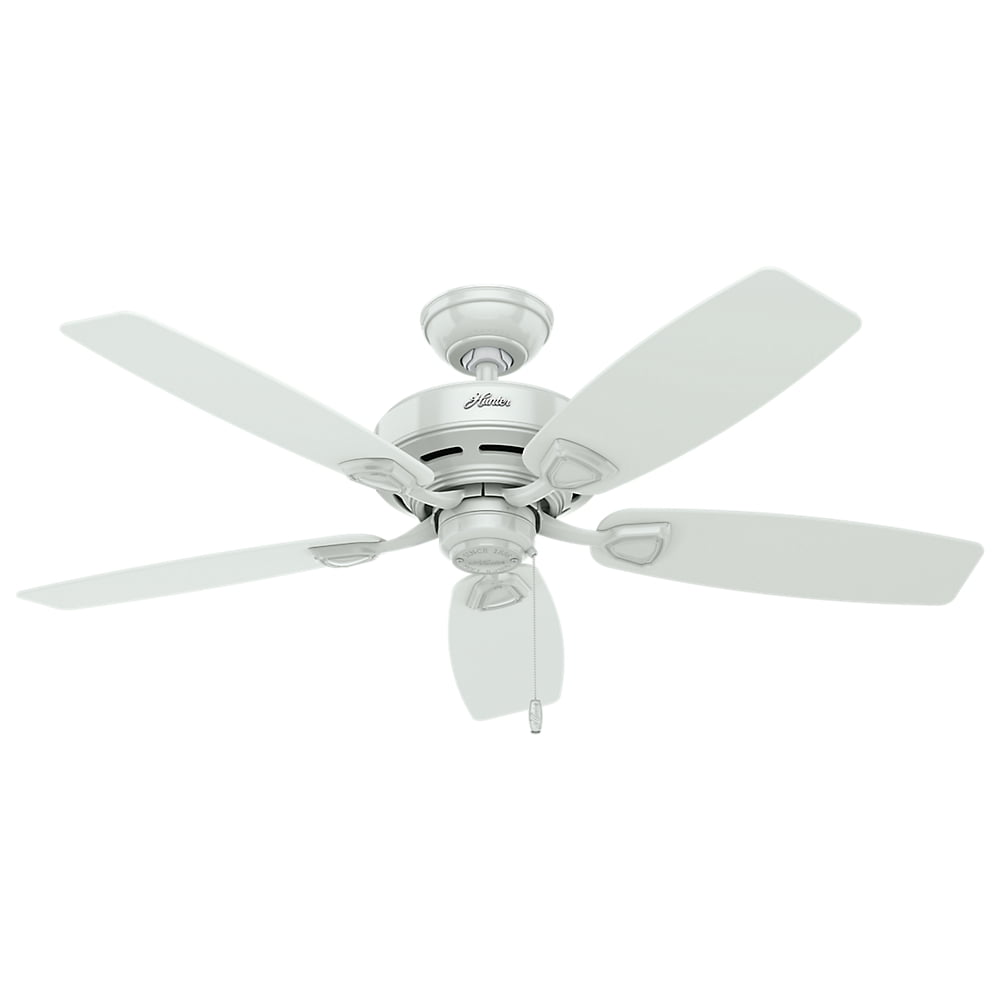 Hunter Fan 48 inch Casual Matte Silver Indoor Ceiling Fan w Light and Pull Chain 