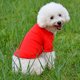 thumbnail image 5 of Conjunto de 4 camisetas para perros, camisetas para cachorros, ropa para mascotas, abrigos, tops (M), 5 of 5