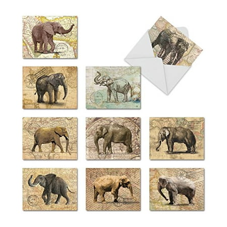 M9636TYG TRUNK MAIL' 10 Assorted Thank You Greeting Cards with Envelopes by The Best Card