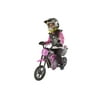 Pulse Performance Products, EM-1000 Kids Electric Motorcycle, Ages 8+, 24V battery, 10 MPH, Puncture Proof Tires, hand Brake