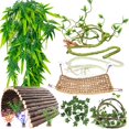 thumbnail image 1 of Juego de 10 accesorios para tanques de reptiles RUNANIA Bearded Dragon, 1 of 6