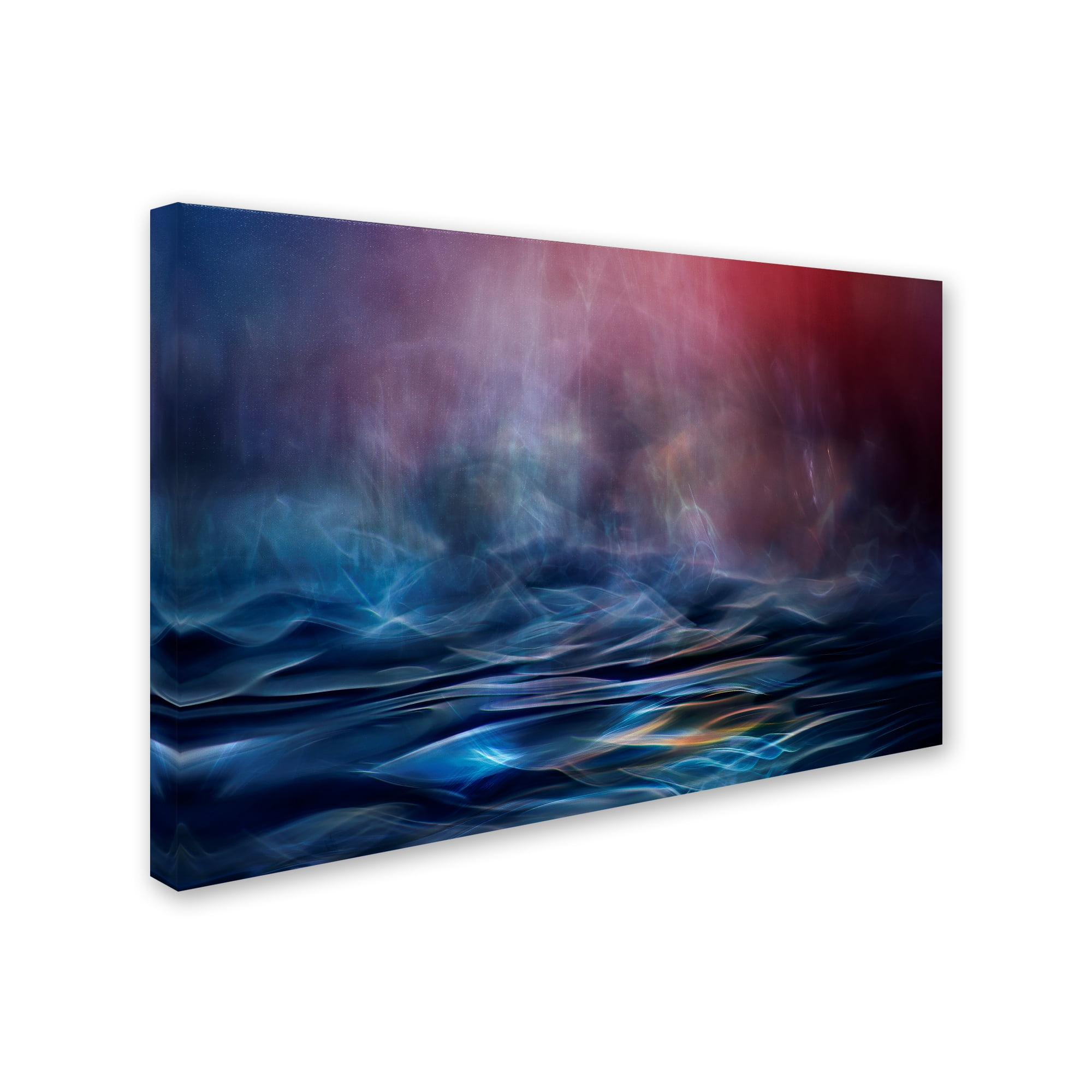 Trademark Fine Art 'Into The Unknown' Canvas Art by Willy Marthinussen