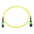 thumbnail image 1 of Axiom - Network cable - MTP/MPO single-mode (M) to MTP/MPO single-mode (M) - 12 m - fiber optic - 9 / 125 micron - riser - yellow, 1 of 12