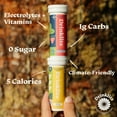 thumbnail image 5 of Drinklits Strawberry Daily Immune Support Tablets | 0g Sugar - Vitamin C - Electrolytes - Botanical Blend | Single Tube (10 Tablets/Servings), 5 of 9