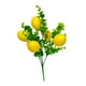 thumbnail image 4 of ramas limón artificiales, elegante decoración estilo rústico para hogar, decoración limón artificial para cocina, fiesta, porche. B, 4 of 8
