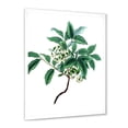 thumbnail image 2 of Designart 'Ancient Green Leaves Plants IV' Traditional Framed Art Print, 2 of 4