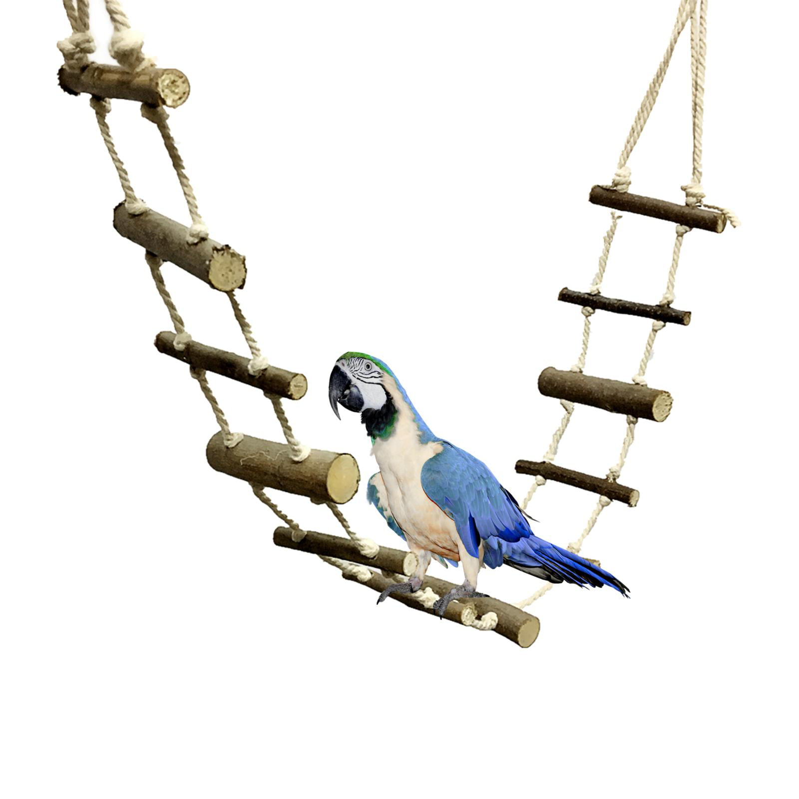 New Funny Hanging Ladder Swing Bridge Bird Parrot Hamster Rat Cage Exercise Toys 