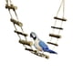 thumbnail image 3 of para Mascota, Loro, Hámster, Escalera de Escalada, Azúcar Gustan, Boca de , Garbill, 3 of 9