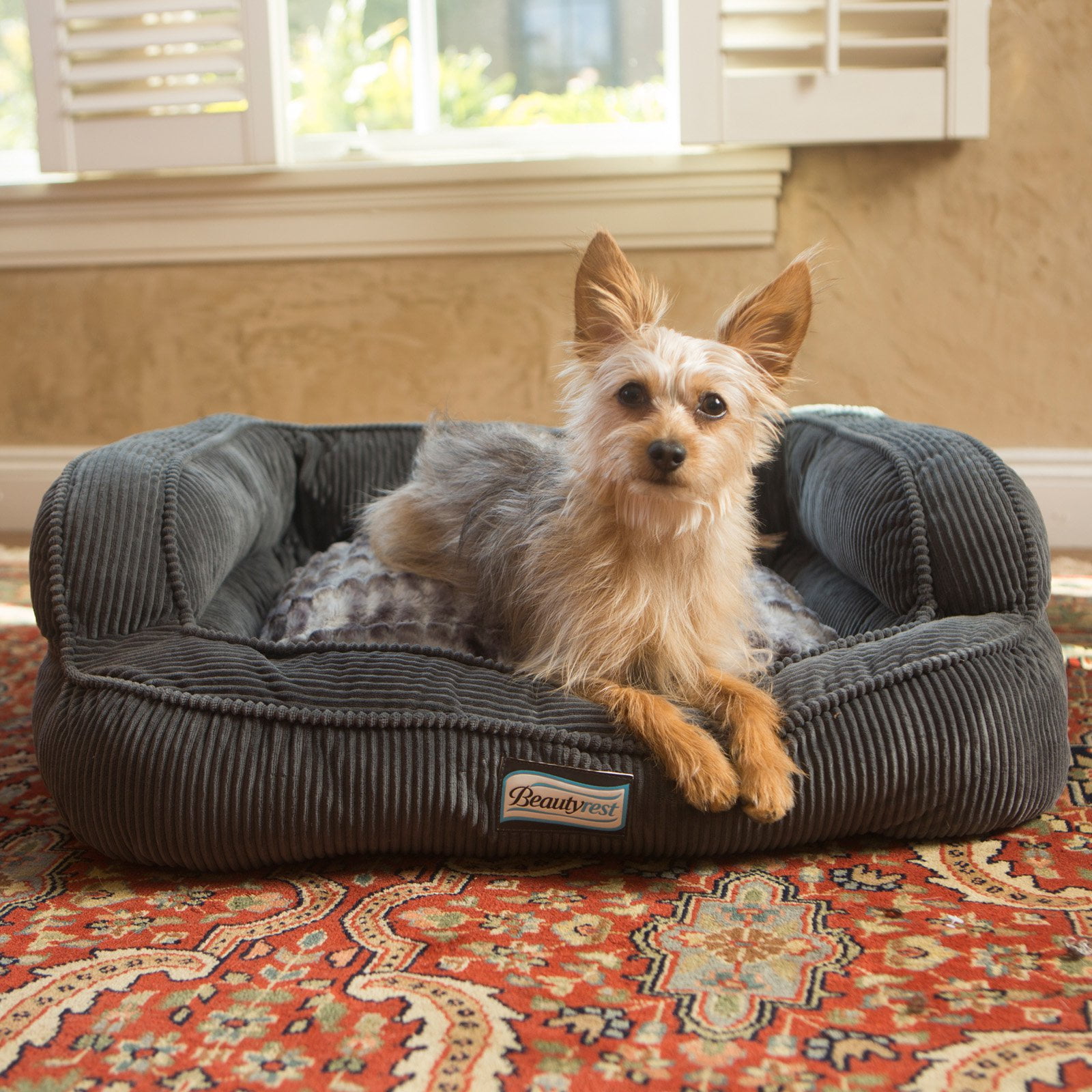 beautyrest dog bed walmart