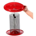 thumbnail image 2 of Birds Choice 5 qt. Aimant Maillage Noir Huile Tournesol Feeder-Rouge, 2 of 4